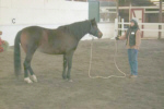 PNH 34