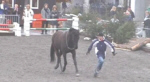 PNH 65