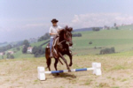 PNH 70