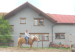 PNH 78