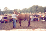 PNH 093