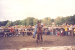 PNH 095