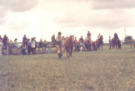 PNH 099