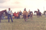 PNH 100