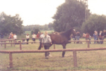 PNH 103