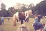 PNH 105