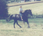 PNH 110