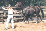 PNH 27
