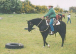 PNH 28