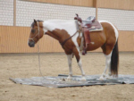 PNH 86